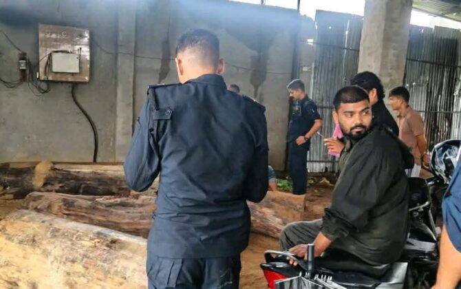 विजयनगरका वनमा काठ तस्करी मौलायो : अवैध काठसहित मिल सञ्चालक पक्राउ